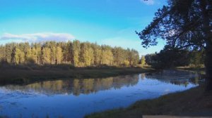 Первые морозы!!! Грибы не сдаются!!!Собираем клюкву!!!