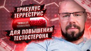 Трибулус террестрис для повышения тестостерона и либидо| Какие дозы пить | Исследования