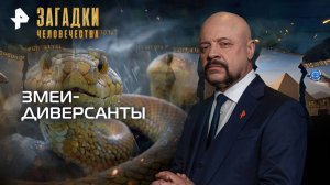 Змеи-диверсанты — Загадки человечества с Олегом Шишкиным (01.10.2025)