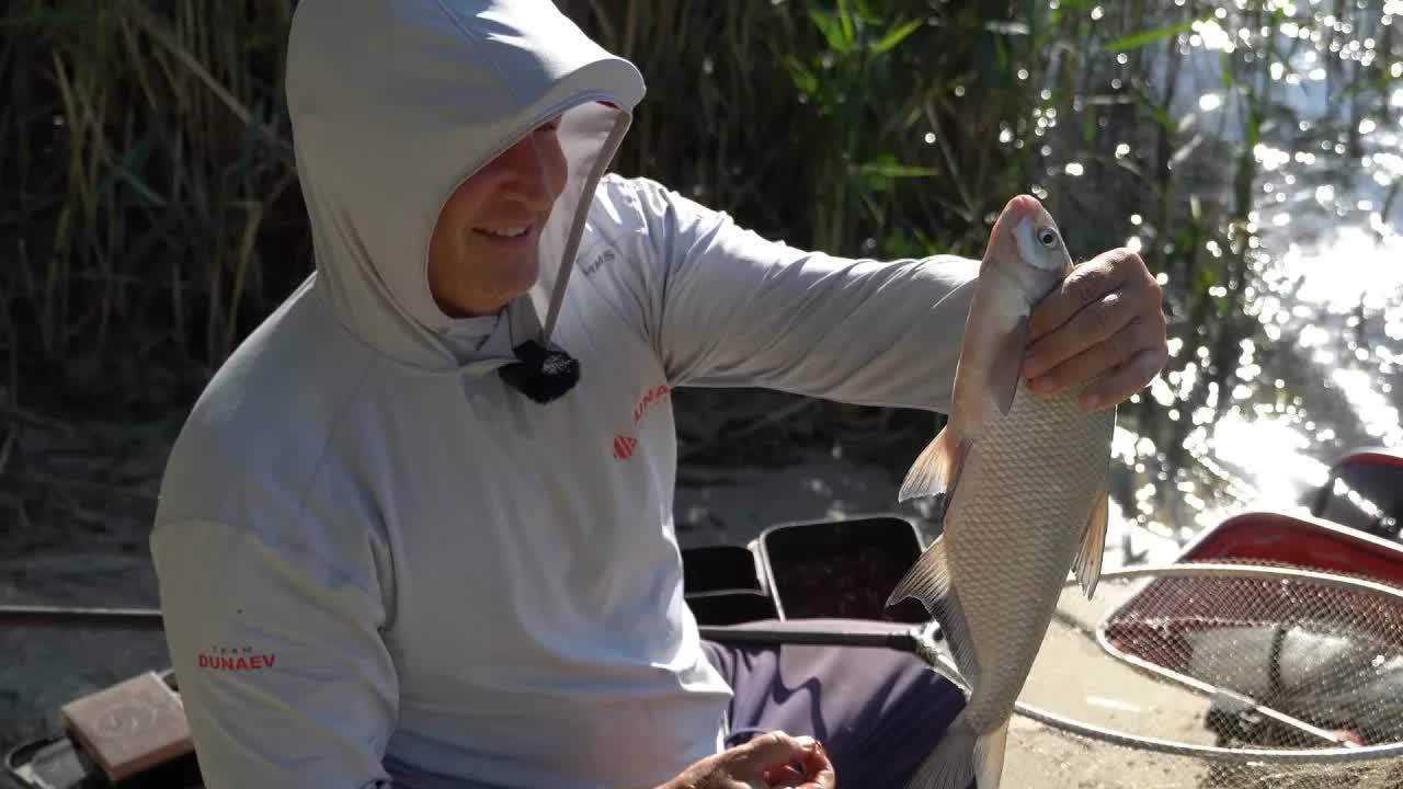 Лещ на реке Дон. Ловим на фидер. Рыбалка с Владимиром Павлищевым смотреть онлайн