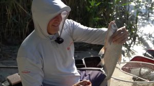 Лещ на реке Дон. Ловим на фидер. Рыбалка с Владимиром Павлищевым