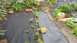 Сентябрь 2025