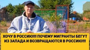 ХОЧУ В РОССИЮ!!! ПОЧЕМУ МИГРАНТЫ БЕГУТ ИЗ ЗАПАДА И ВОЗВРАЩАЮТСЯ В РОССИЮ!!!