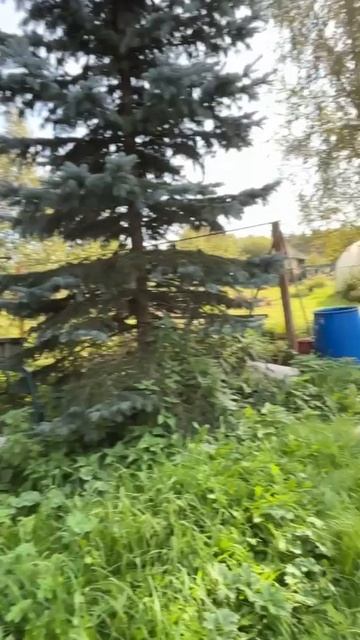 Опора всего на свете смотреть онлайн