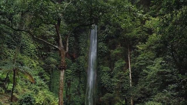 Красивое чтение Корана عبدالله الموسي смотреть онлайн