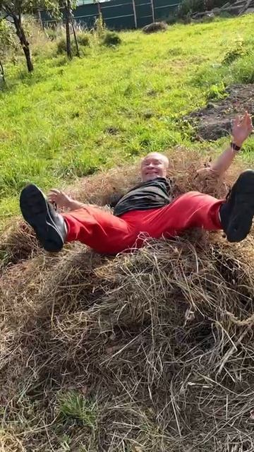 Радость на сене смотреть онлайн