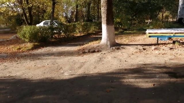 01-10-2025 вышла на улицу. магазин помидоры минералку смотреть онлайн