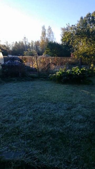 Первый морозец