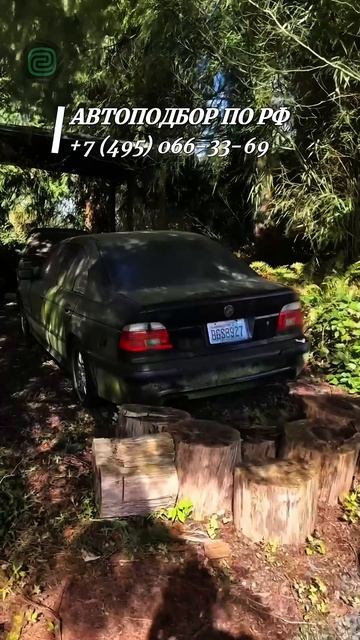 КАКОЙ АВТО ЗАБРАЛ СЕБЕ? #автоподбор #привозавто #приколы #автоприколы #автоэксперты #автоюмор смотреть онлайн