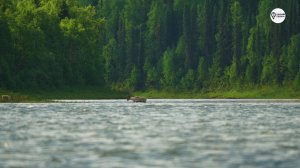 Наша Сибирь 4К: Окрестности устья реки Дурная