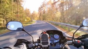 Мопед Nordwing - Осеннее настроение