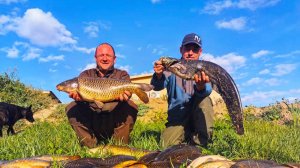 СТОЛЬКО САЗАНА Я ЕЩЕ НЕ ЛОВИЛ Рыбалка в Астрахани на островах