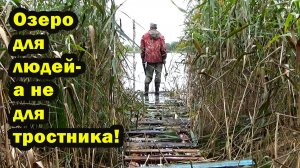 Тростник захватывает берега - что делать?. Настил для рыбалки не заходя в воду - это просто