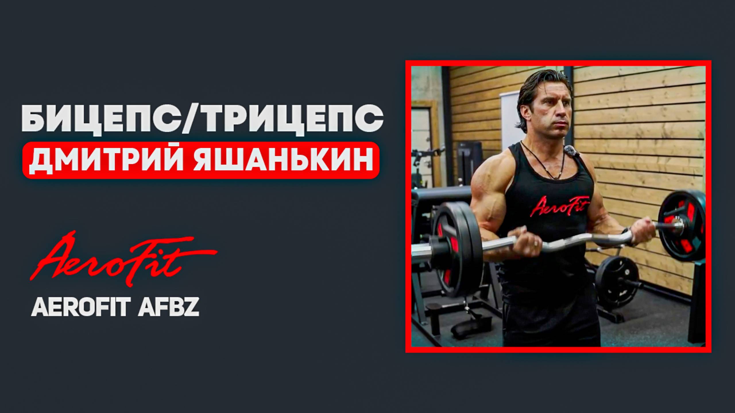 Бицепс и Трицепс с Дмитрием Яшанькиным Aerofit AFBZ смотреть онлайн