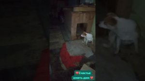 Население Елены С.  благодарит людей ,которые им помогли на питание!