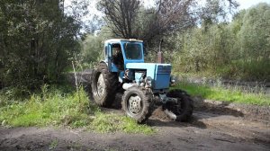 Трактор Т-40АМ на бездорожье. / Soviet tractor T-40AM off-road.