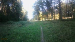 Видео для степпера, кардиотренажера