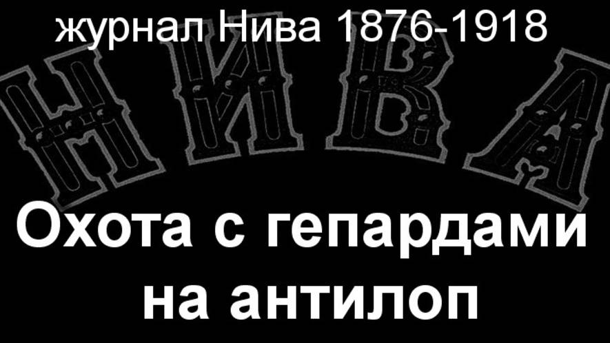 Охота с гепардами на антилоп. описание журнал Нива 1876-1918 смотреть онлайн