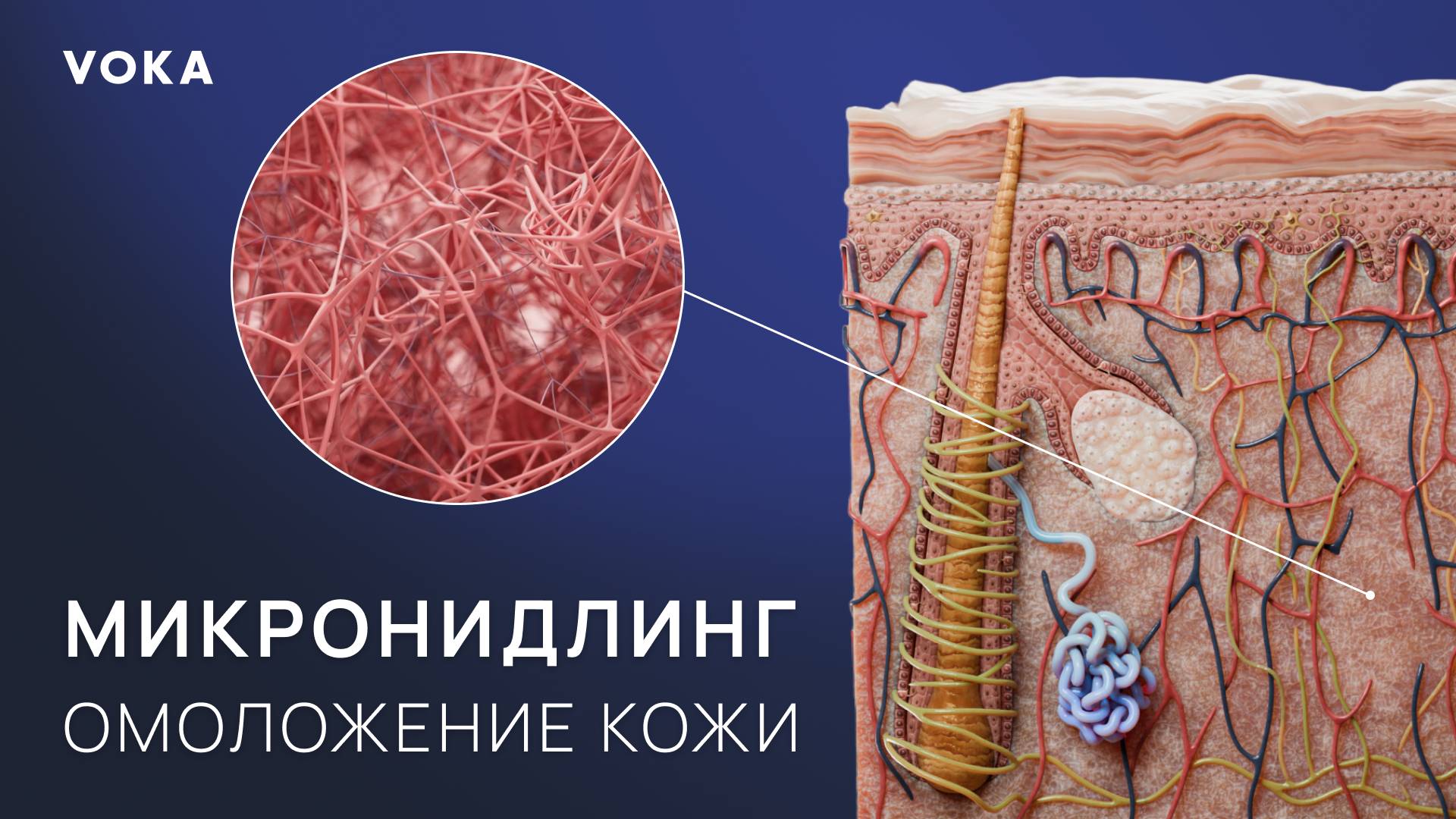 Как работает коллаген-индукция в 3D. Микронидлинг для омоложения кожи