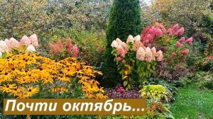 Сад перед заморозками