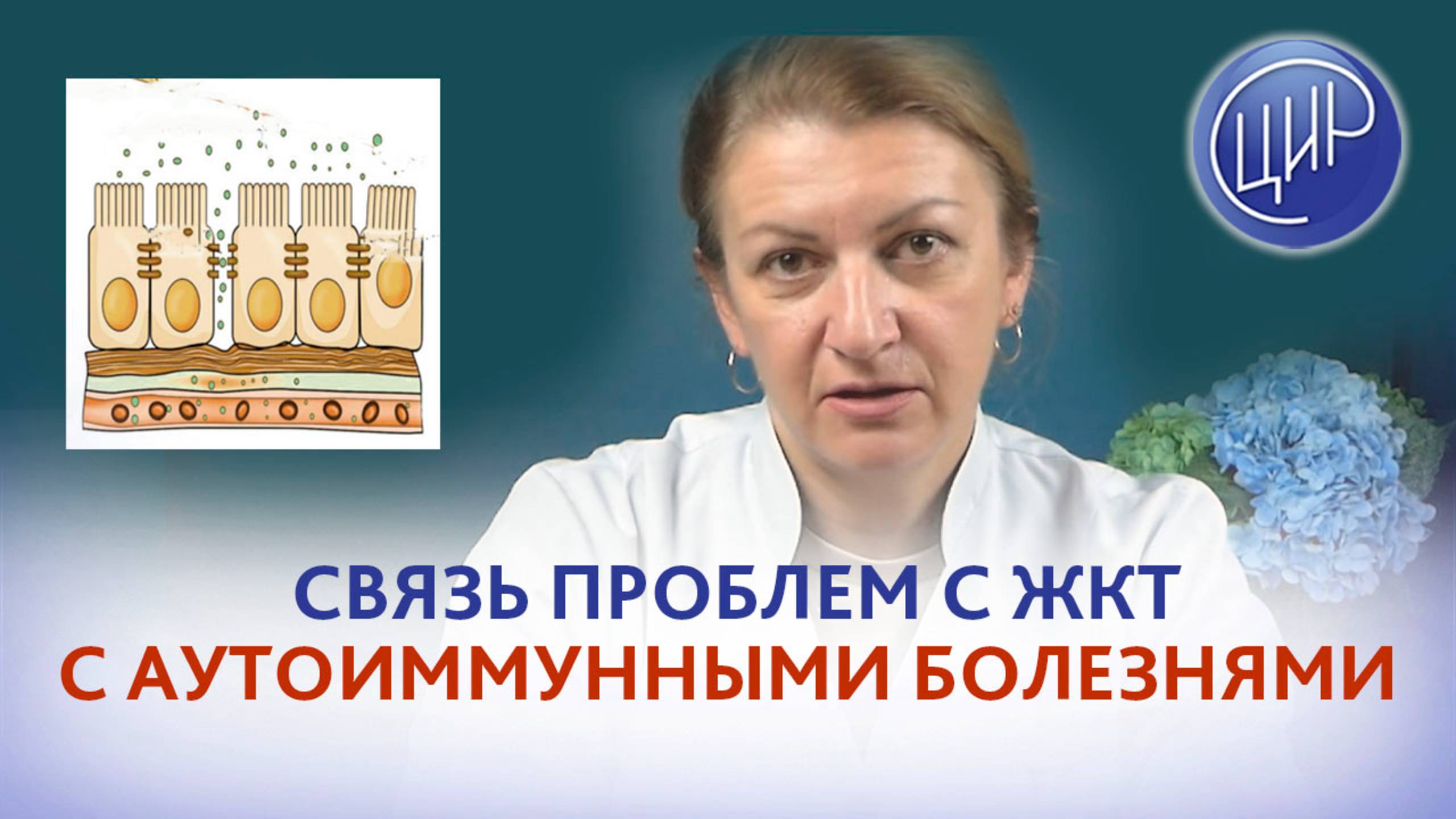 Проблемы с желудочно-кишечным трактом и их связь с аутоиммунными заболеваниями. смотреть онлайн
