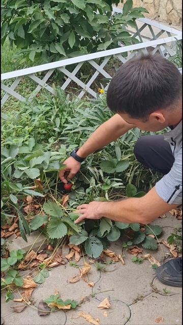 Бонусы на стройке))