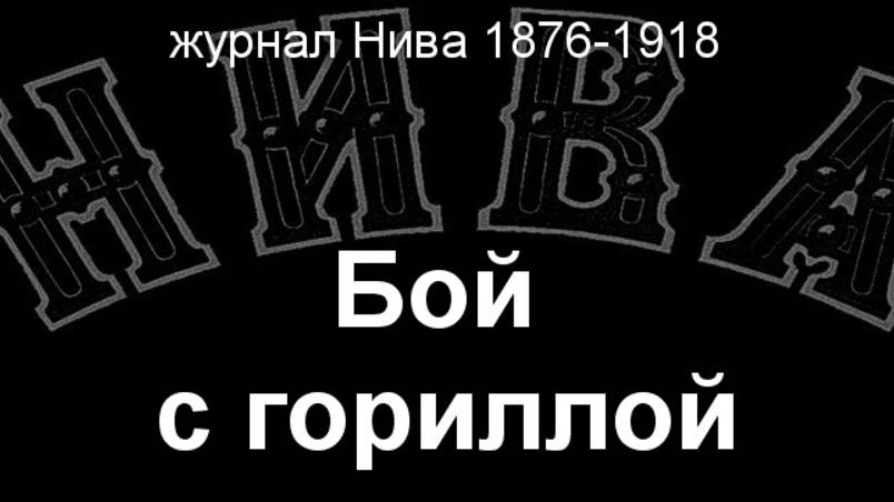Бой с гориллой. описание журнал Нива 1876-1918 смотреть онлайн