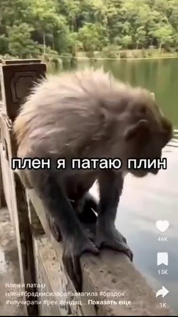 прикольно смотреть онлайн