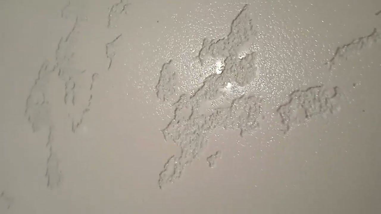 Декоративная штукатурка "карта мира своими руками"