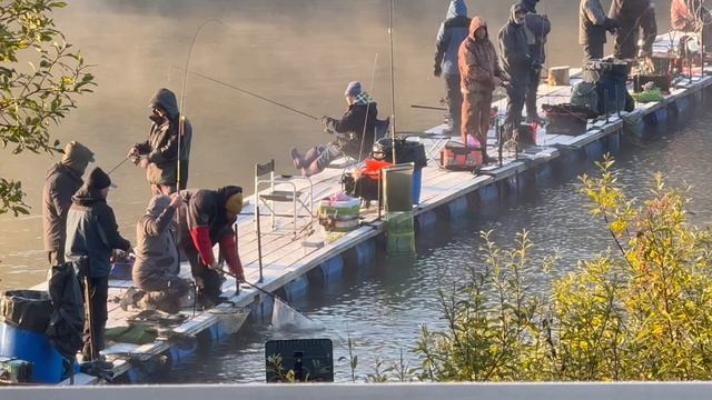 Поимка на донку смотреть онлайн