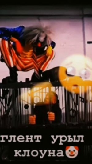 глент гений 😏