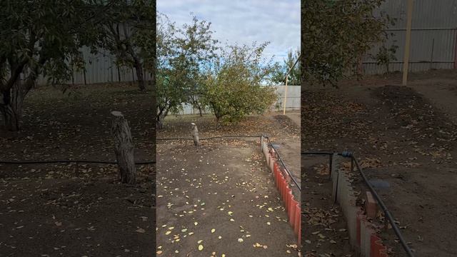 709.mp4 смотреть онлайн