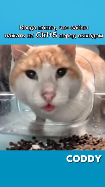 Когда понял, что забыл нажать на Ctrl+S перед выходом🤭 смотреть онлайн