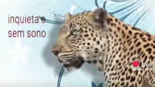 🎸🎸🎸 смотреть онлайн