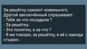 Кум Показал Куме Свое Хозяйство! Сборник Свежих Анекдотов! Юмор