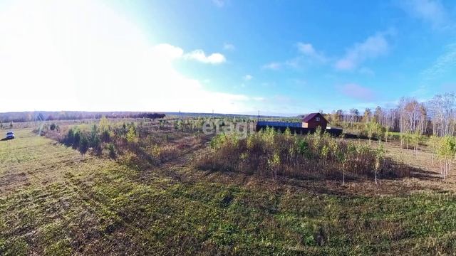 9934063 смотреть онлайн