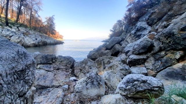 Любовь висела, на волоске! смотреть онлайн