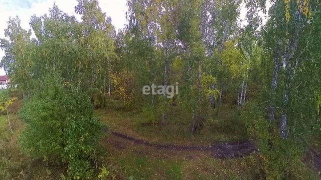 4240479 смотреть онлайн