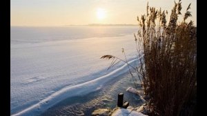 Это правда и верность (Suno AI)