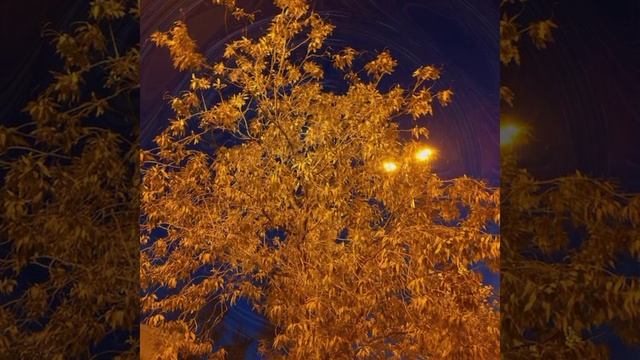 Музыкальная ВидеоОткрытка Добрый вечер.mp4 смотреть онлайн