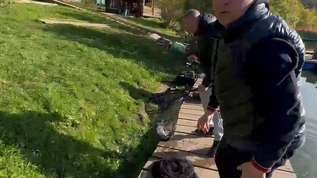Белый маггот смотреть онлайн