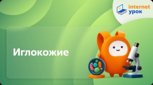 Биология 7 класс. Иглокожие