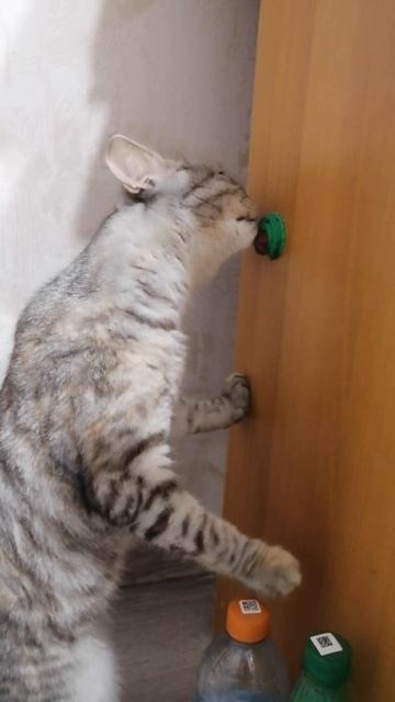 VID_20250927_222259.mp4 смотреть онлайн