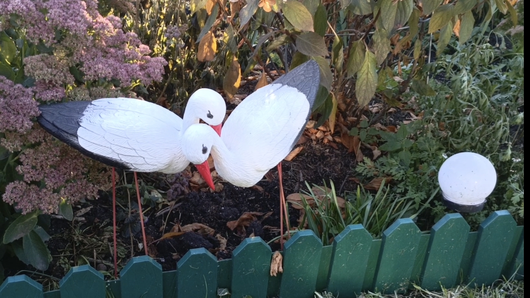 Удивляюсь увиденному 30.09.2025 на даче смотреть онлайн