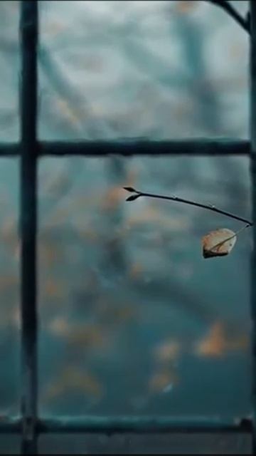 🕊 Узник смотреть онлайн