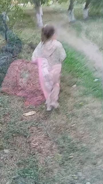 трейлер фильма игровая площадка