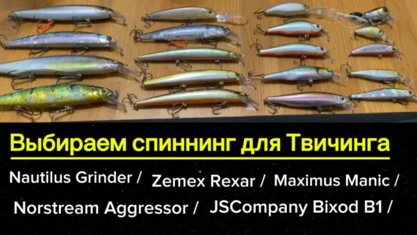 Выбираем спиннинг для твичинга.