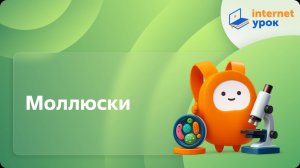 Биология 7 класс. Моллюски