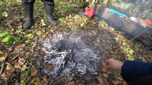 В лес с костром, и грибы. Нарвали огромных яблок! Пермь, 30 сент 2025