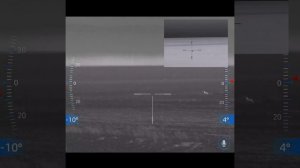 Охота на хищника.